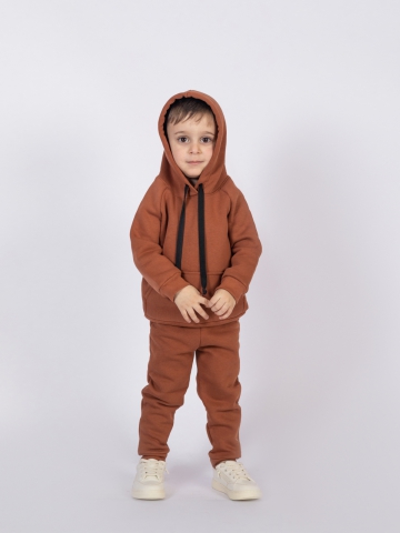 296-ТР. Свитшот с капюшоном  + Штаны, хлопок 65%, 35% ПЭ, 3-х нитка (начес) терракот 80,86,92
